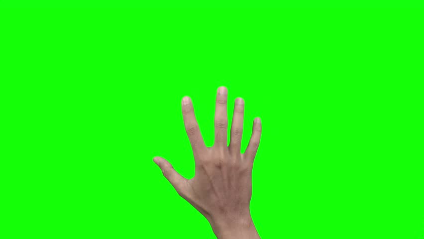 Closeup of male hand isolated on green screen counting from 0 to 5. Man showing fist, then one, two, three, four, five fingers. Mathematical concept.