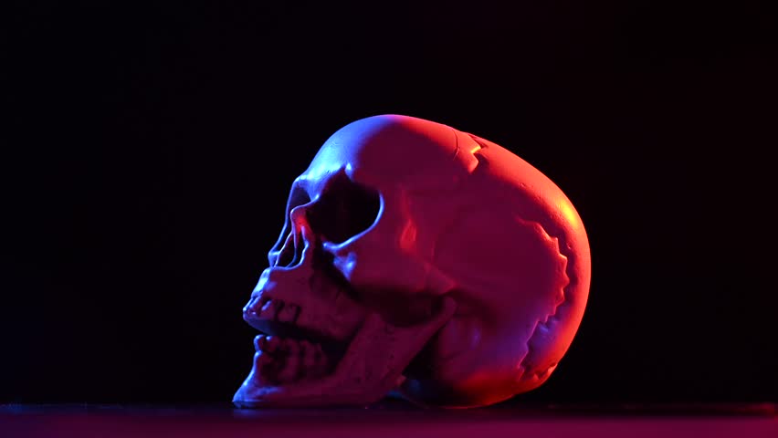 Plastic skull spinning in pink blue light on black background. Royalty-Free Stock Footage #1108388765
