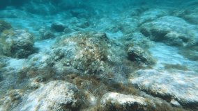 Slow motion underwater video of sunlight waves playing on the white sandy bottom at the turquoise shallow water of Elafonissi Beach. Crete. Greece