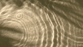 Close-up water surface ripples and splash, palm tree leaf shadow on sand texture - Powered by Shutterstock - Get 15% off with code: PIKWIZARD15