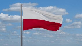 Poland looped flag waving in the wind with blue sky and running clouds, cycle seamless loop video