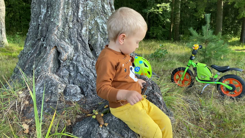 toddler child playing with multitool in summer forest, little boy with balance bike in park