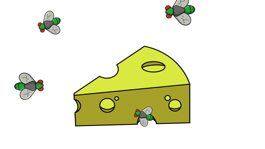 Animation of cheese being surrounded by flies | Shutterstock HD Video #1108420861