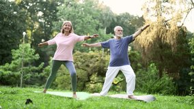 Active old senior married couple does gymnastics while standing on a mat in an urban city park. Mature gray haired retired wife and husband doing yoga outside in nature. Pensioners perform exercises - Powered by Shutterstock - Get 15% off with code: PIKWIZARD15
