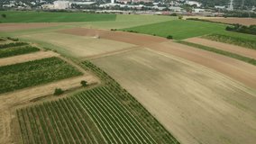 Aerial drone video of Tractor plough work on a large field with vineyards wheat rapeseed
