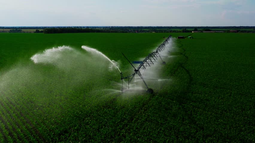 Aerial view pivot at work in potato field, watering crop for more growth. Center pivot system irrigation. Watering crop in field at farm. Modern irrigation system for land and vegetables growing on it Royalty-Free Stock Footage #1108423933