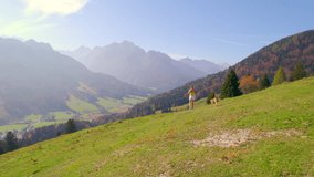 AERIAL: Lady during autumn walk with her dog on a meadow above an alpine valley. She is enjoying the views of mountains and lush forests in colourful shades of fall season, which glow on a sunny day.