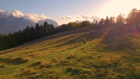 AERIAL: Sporty woman is jogging with her cute dog on a picturesque alpine meadow. Beautiful autumn day for bonding time with dog and outdoor recreation in the embrace of spectacular mountain nature.