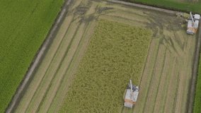 Drone video: Harvesting rice using a combine harvester