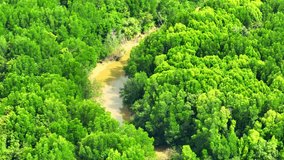Explore Thailand's lush mangrove forests from a captivating aerial view with a drone. Capture intricate ecosystems, intertwining waterways, and vibrant biodiversity in stunning detail.
