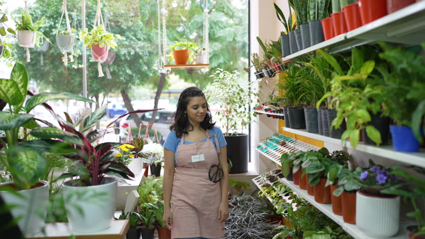 portrait young latin American woman plant store employee working arranging potted plants Royalty-Free Stock Footage #1108444197