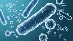 Enterobacteriaceae, gram-negative rod-shaped bacteria, part of intestinal microbiome and causative agents of different infections, 3D rendering. Escherichia coli, Klebsiella, Enterobacter and other - Powered by Shutterstock - Get 15% off with code: PIKWIZARD15