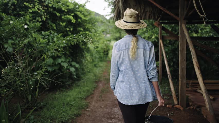 Young woman farmer walking on a organic coffee plantation in Latin America 