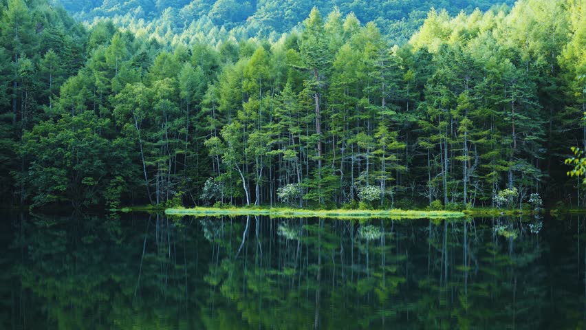Movie of Mishaka Pond, Nagano Prefecture