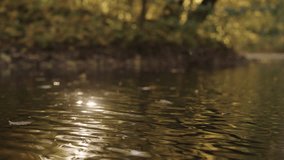 Slow motion small lake or pond with fallen leaves in autumn - Powered by Shutterstock - Get 15% off with code: PIKWIZARD15