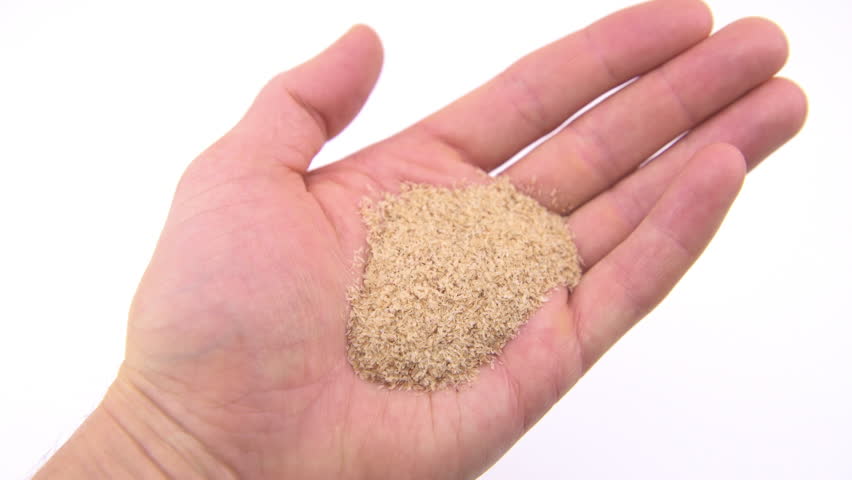 Psyllium husks husks supplement for bowel movement constipation on hand palm macro closeup holding on white background Royalty-Free Stock Footage #1108473471