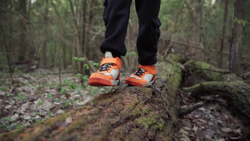 baby boy playing in the forest park. close-up child feet walking on a fallen tree log. happy family kid dream concept. a child in sneakers walks on a fallen tree in lifestyle park Royalty-Free Stock Footage #1108474647