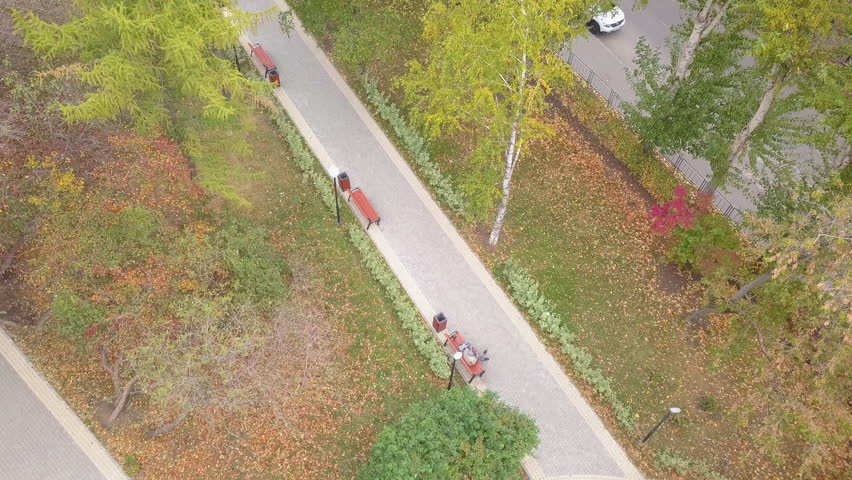 Man resting on bench in park by road. Clip. Top view of park alley with benches and vacationing people. Autumn park path with benches by roadway