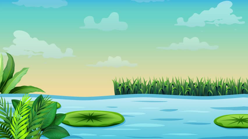 Green Frog Jumping In The Lotus Leaves