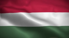 Hungary flag waving animation, perfect looping, 4K video background, official colors