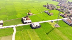 Aerial Footage. Cinematic shot Landscape view of green rice fields in the valley of Mount Mandalawangi in the morning. Vast green rice fields. High Quality 4k Videos. Bandung - Indonesia
