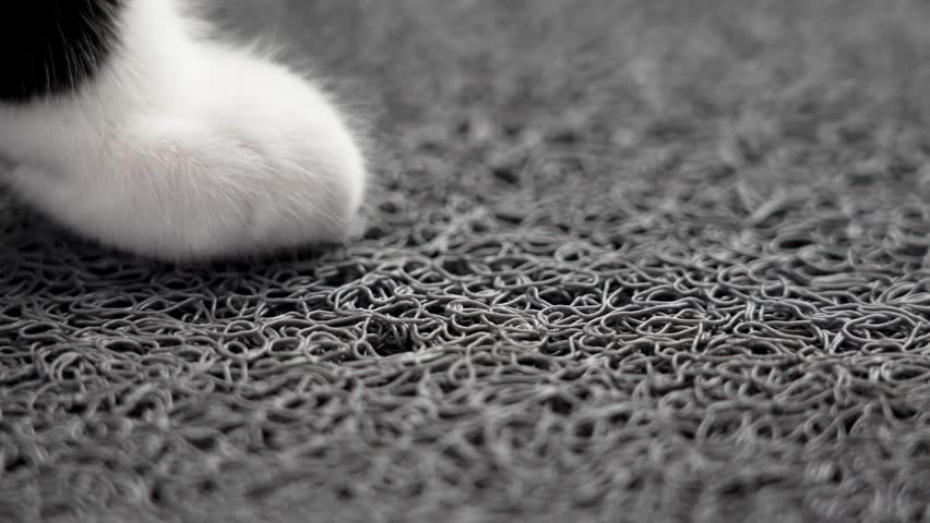 Cat paw on a soft comfy cozy rubber mat. Softness concept | Shutterstock HD Video #1108486113