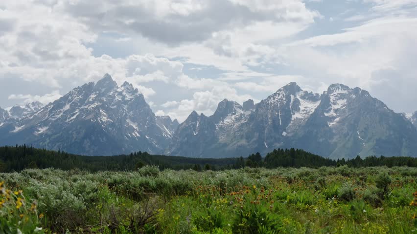 Grand Teton National Park, Wyoming. Meadow flowers in the foreground and mountain peaks covered in clouds in the background. Summertime