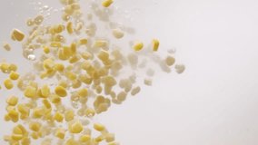 Many ripe corn grains Falling into Water in Slow Motion. Ripe corn grains filmed in a photo studio on white background with video lighting. - Powered by Shutterstock - Get 15% off with code: PIKWIZARD15