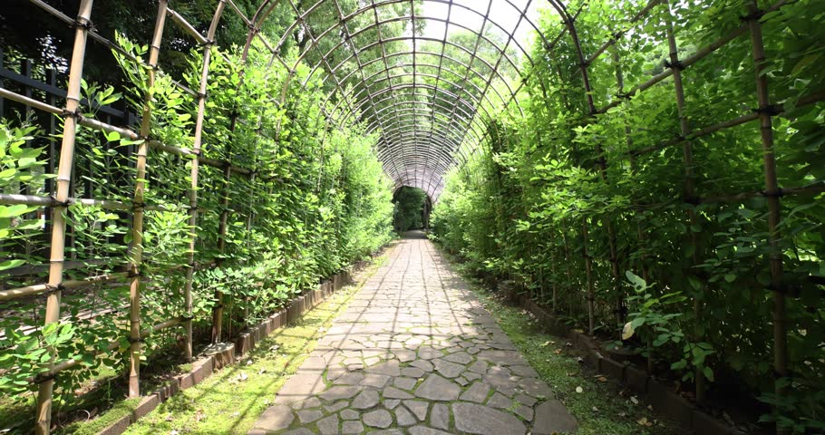 A green plant tunnel at the garden in summer wide shot