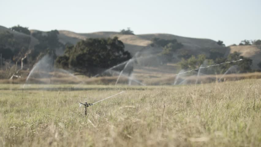Sprinklers watering agricultural field in California