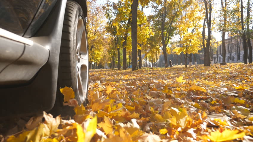 Wheel of powerful car driving on park road over yellow autumn leaves in sunny day. Colorful autumn foliage flies out from under wheel of automobile. SUV crossing through empty road. Slow mo Close up