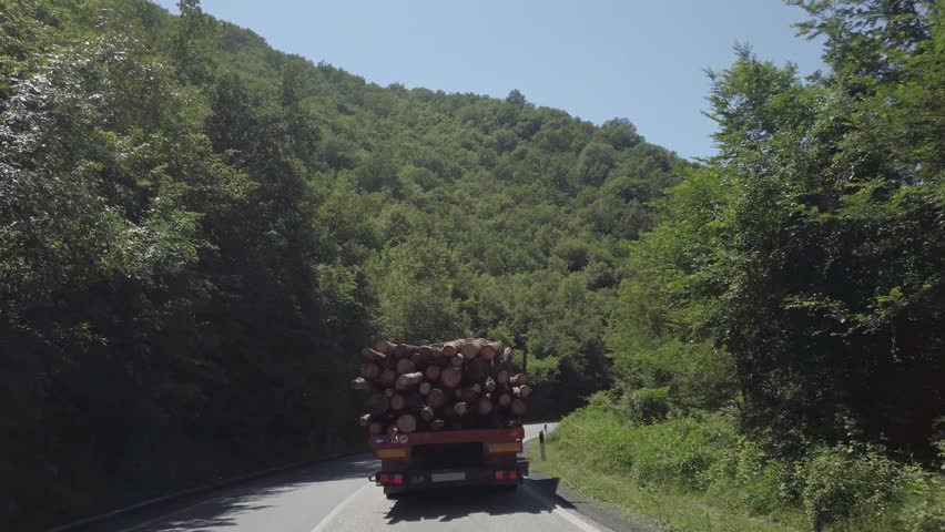 Timber wood cargo truck drive transporting stacking wood cargo in piles on aspahlt road