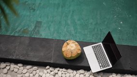 Natural green coconut and laptop at the poolside at sunny day . High quality 4k footage