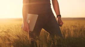Agriculture. farmer with a laptop walks in an agricultural field of wheat at sunset. agriculture business concept. farmer walk with lifestyle tablet works in wheat field sunlight
