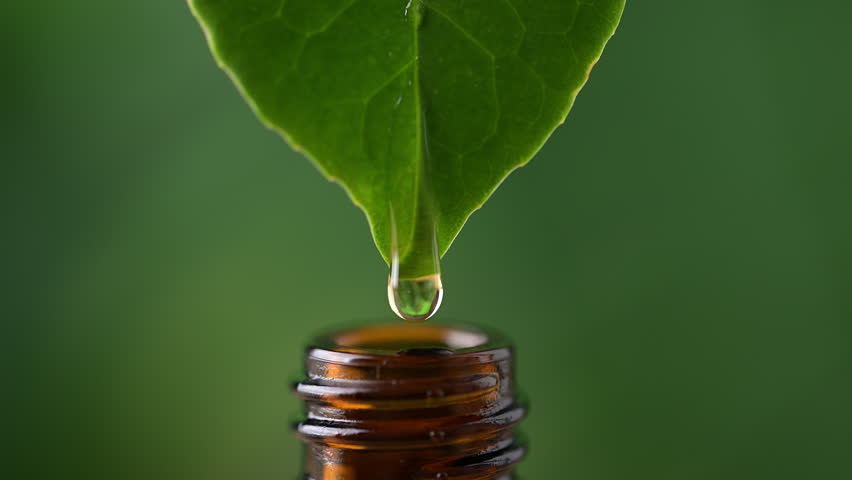 Alternative herbal medicine concept. Herbal essence dropping from fresh leaf to the bottle. Organic herbal skin care serum.