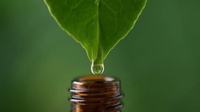 Alternative herbal medicine concept. Herbal essence dropping from fresh leaf to the bottle. Organic herbal skin care serum. - Powered by Shutterstock - Get 15% off with code: PIKWIZARD15