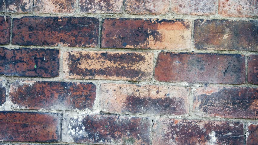 Old damaged grunge brick wall medium panning 4k shot selective focus  | Shutterstock HD Video #1108515083