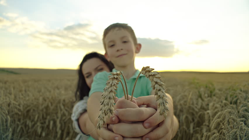 Wheatland Symphony: A Heartwarming Scene of Mother and Son Tending Crops on Their Cherished Family Homestead. High quality 4k footage Royalty-Free Stock Footage #1108518487