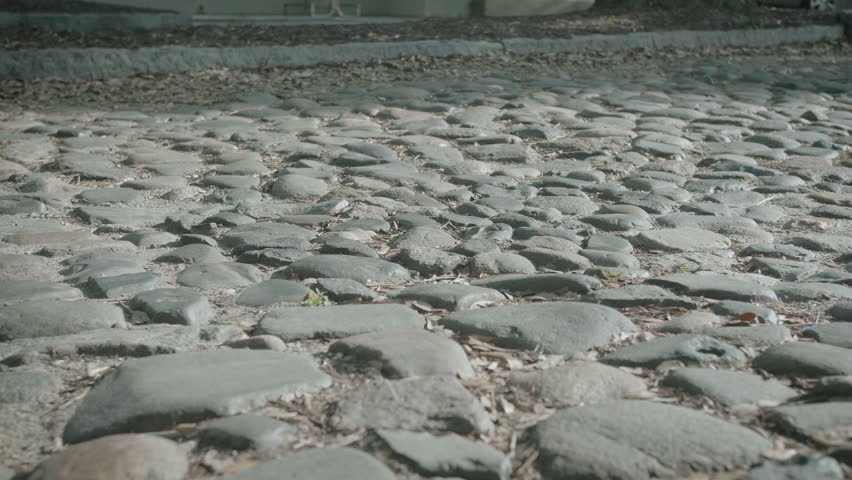 Charleston, South Carolina - Cobblestone street