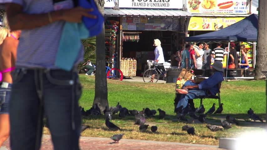 Venice Beach, California  USA - September 9th, 2016: Venice Beach Man Feeds Pigeons near boardwalk 
