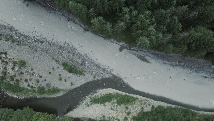 White River top down drone pan by Mt Rainier Greenwater, Washington, calm river flows in lush pine tree forest