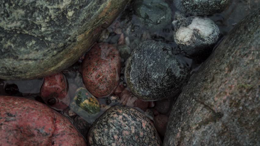 Natural River Stones In A Forest Park. Close Up