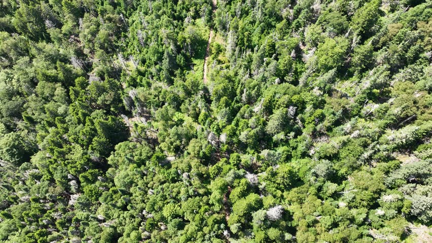 Aerial view of Cape Split, Nova Scotia