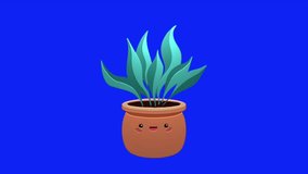 Animation loop video of a dancing flower pot on blue screen background ,remove blue screen background on your video editing software