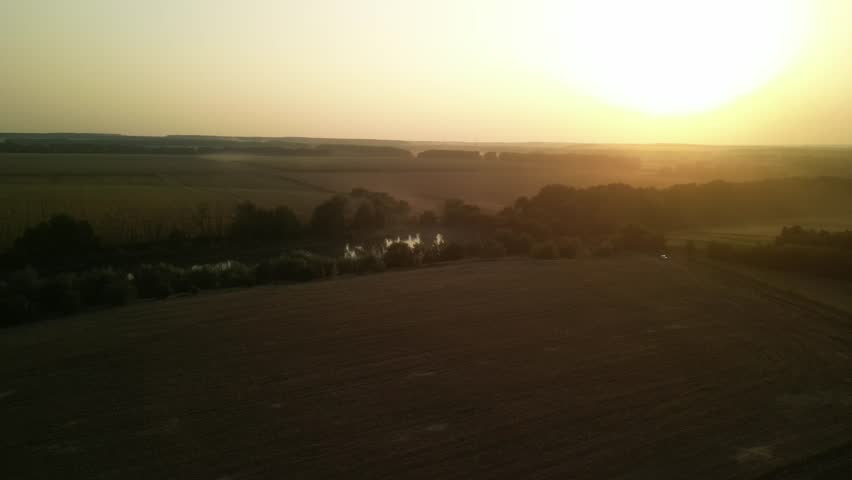 Swans on the lake at sunset. Sunset on the lake in the fields