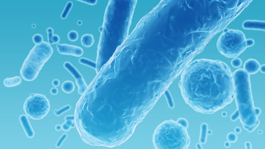 Enterobacteriaceae, gram-negative rod-shaped bacteria, part of intestinal microbiome and causative agents of different infections, 3D rendering. Escherichia coli, Klebsiella, Enterobacter and other Royalty-Free Stock Footage #1108555177