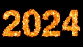Burning Letter 2024, New Year Loopable