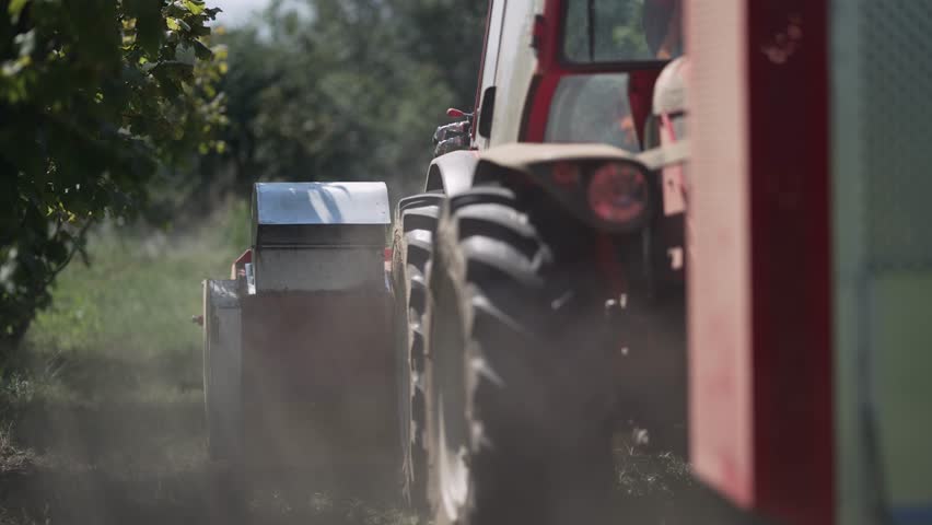 harvesting hazelnuts on agriculture plantation field with special harvester combine machine, slow motion