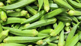 uncooked Green okra or lady finger at agriculture field,4k video.