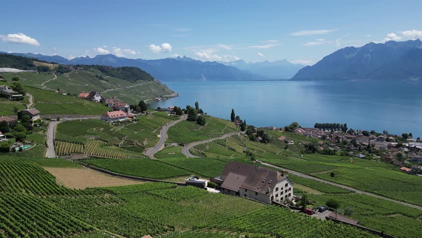 Aerial drone view of beautiful landscape of vineyards and Lake Geneva, Montreux, Switzerland